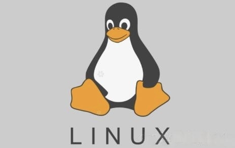 Linux服务器测试性能脚本-银杏叶源码网-网站游戏源码-实用软件